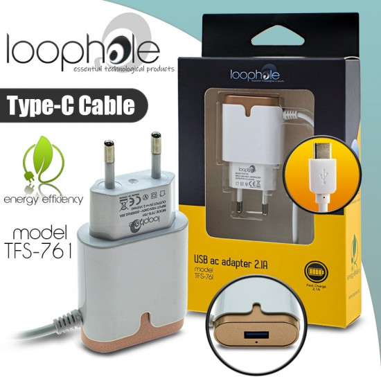 LOOPHOLE AC Adapter Type-C GOLD