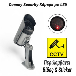 Dummy Security Κάμερα με LED Silver