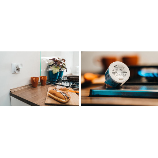 Ανιχνευτής αερίου ρεύματος TG30 230V XTREME