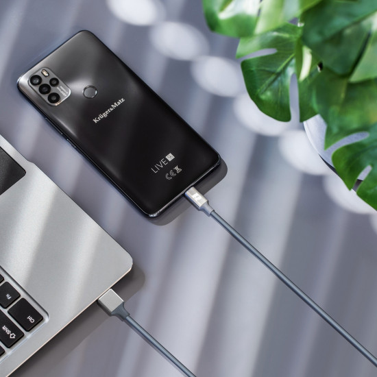 Καλώδιο USB 3.0 - USB Type-C 2m Rebel μαύρο