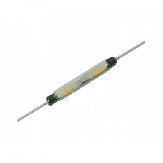 Μαγνητικός Διακόπτης 38mm SPST-NO