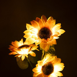 Διακοσμητικά ηλιακά φώτα κήπου - ηλίανθος ZAR0578 Rebel