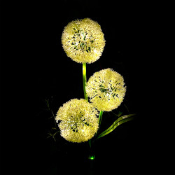 Διακοσμητικά ηλιακά φώτα κήπου ZAR0580 Rebel