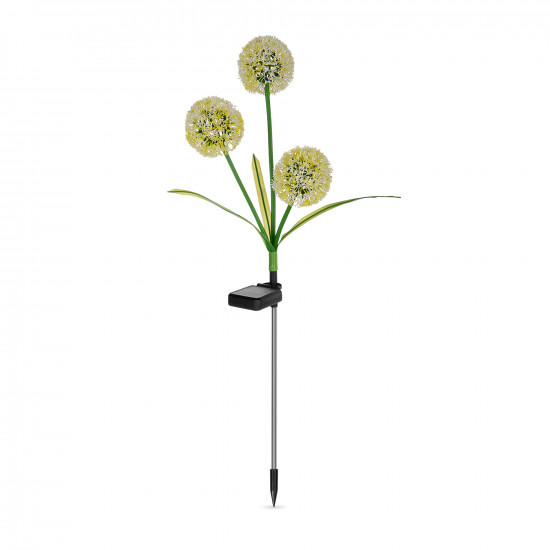 Διακοσμητικά ηλιακά φώτα κήπου ZAR0580 Rebel