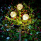 Διακοσμητικά ηλιακά φώτα κήπου ZAR0580 Rebel