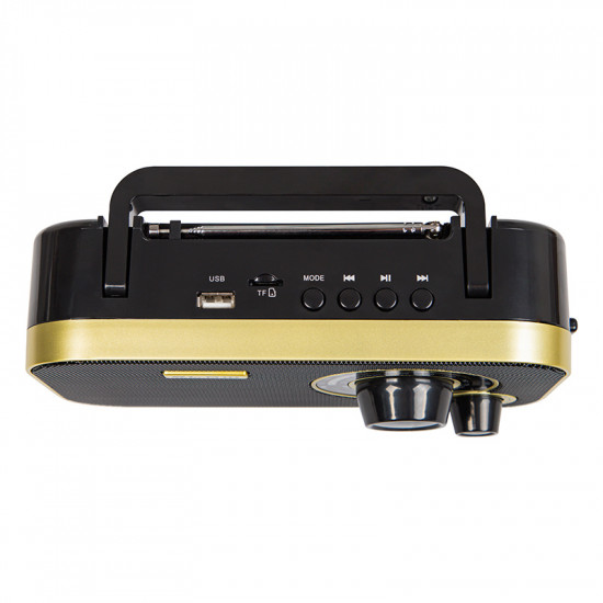 Φορητό αναλογικό ραδιόφωνο AM/FM BLOW RA12 μαύρο-χρυσό