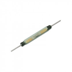 Μαγνητικός Διακόπτης