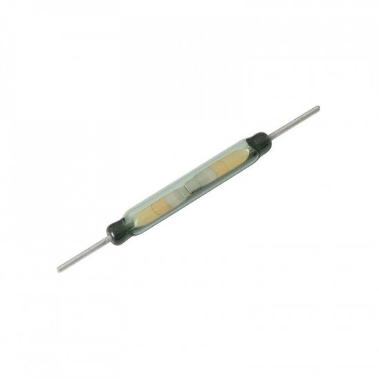 Μαγνητικός Διακόπτης