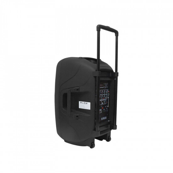 Επαγγελματικό Ηχείο 15