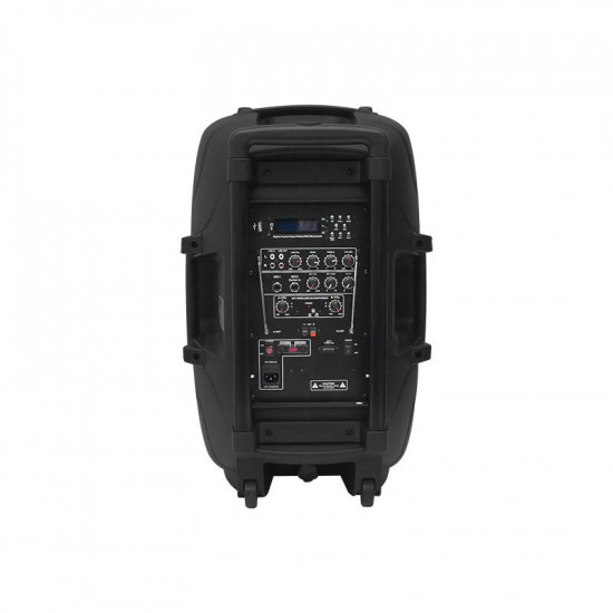 Επαγγελματικό Ηχείο 15