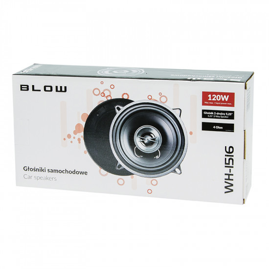 Ηχείο 2 Δρόμων 5.25