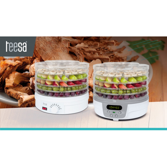 Αποξηραντής Τροφίμων TEESA 250W