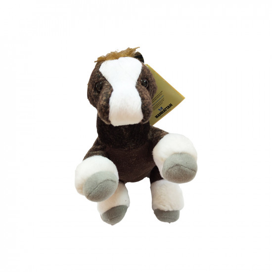 Manhattan Πόνυ καθαριστικό οθόνης