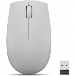 Lenovo 300 Wireless Compact Mouse (Cloud Grey) with battery