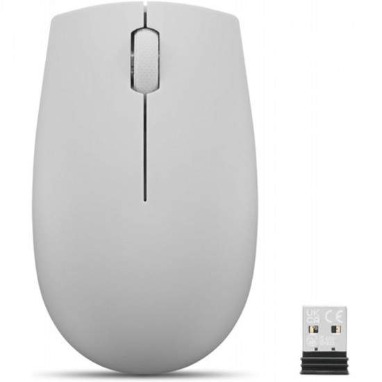 Lenovo 300 Wireless Compact Mouse (Cloud Grey) with battery
