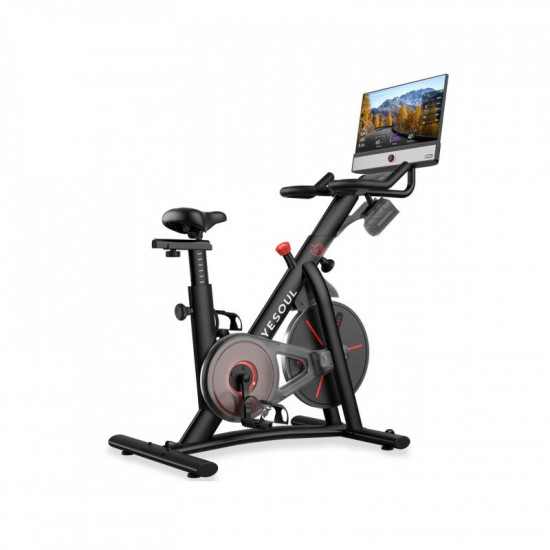 YESOUL Spinning Bike G1Mplus Black