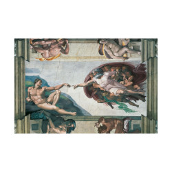 Ravensburger Puzzle: Michelangelo Creation Of Adam (5000pcs) (17408)