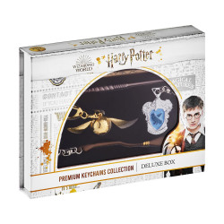 P.M.I. Harry Potter Metal Premium Keychains Collection - 6 Pack Deluxe Box (Random) (HP8550)