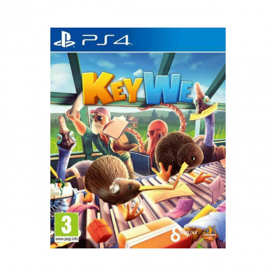 PS4 KeyWe