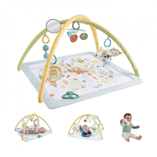 Fisher-Price® Simply Senses Newborn Gym (HRB15)