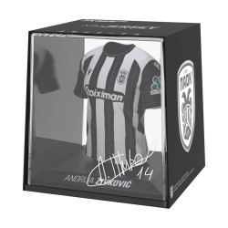FanCollex: MyJersey - Paok Home 24/25 Zivkovic (53MY00003)