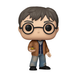 Funko Pop!: Harry Potter - Harry Potter #196 Vinyl Figure