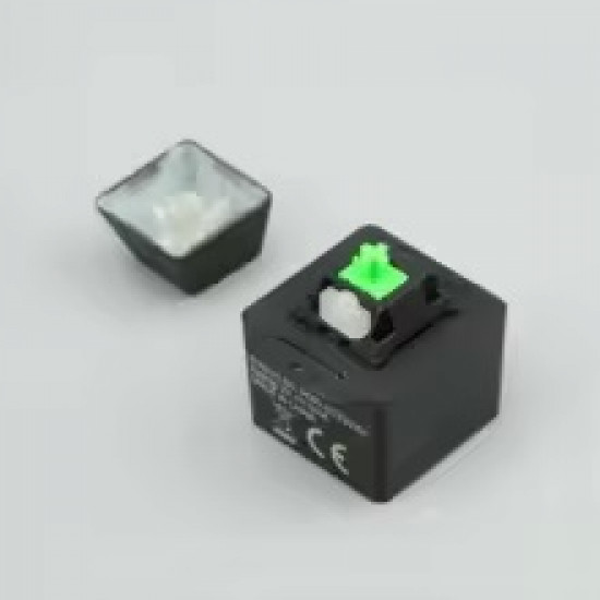 Razer KEYCAP KEYCHAIN Chroma