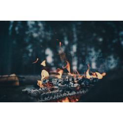 Olympus OM SYSTEM M.Zuiko PRO Digital ED 20mm 1:1.4  incl. Lens hood  Wrapping cloth