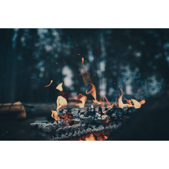 Olympus OM SYSTEM M.Zuiko PRO Digital ED 20mm 1:1.4  incl. Lens hood  Wrapping cloth