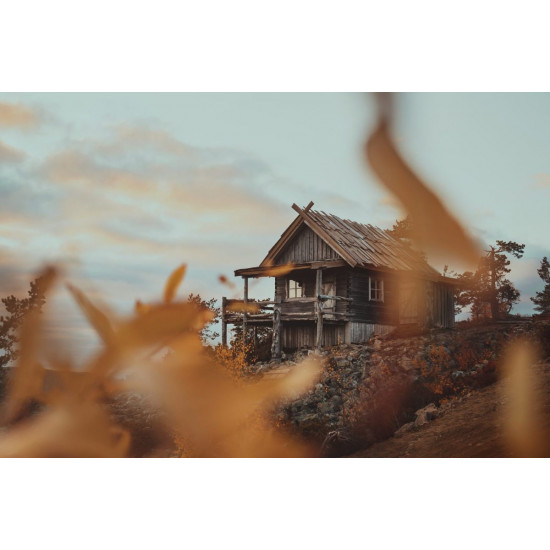 Olympus OM SYSTEM M.Zuiko PRO Digital ED 20mm 1:1.4  incl. Lens hood & Wrapping cloth