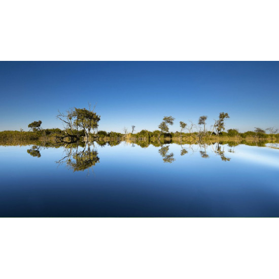 OLYMPUS M ZUIKO DIGITAL ED 7-14mm 1.2.8 PRO