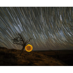 OLYMPUS M ZUIKO DIGITAL ED 7-14mm 1.2.8 PRO