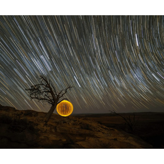 OLYMPUS M ZUIKO DIGITAL ED 7-14mm 1.2.8 PRO