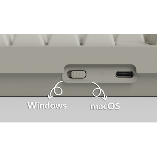 Keychron C2 Pro (C2PX-M1) QMK/VIA Mechanical Red Switch - 8K Polling Rate Hot Swap.100% US Retro RGB