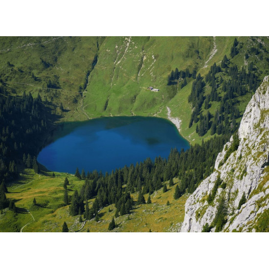 Olympus 40-150mm 1:4-5.6 R BLACK M.ZUIKO DIGITAL (EZ-M4015-R) Lense Micro FT