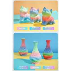 Creality Hyper PLA  Rainbow Spring Lake - Fast Printing Filament with CFS tag 1kg 1.75