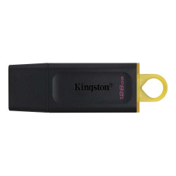 Kingston DataTraveler Exodia 128GB USB 3.2 Gen 1 (DTX/128GB) (KINDTX/128GB)