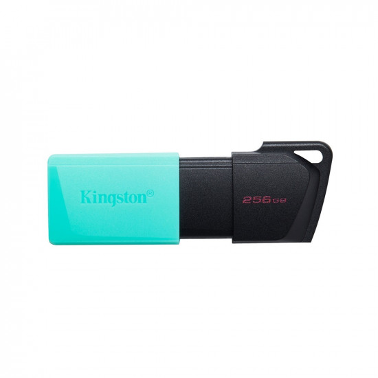 Kingston Dataraveler Exodia M 256GB USB 3.2 Gen 1 (DTXM/256GB) (KINDTXM/256GB)