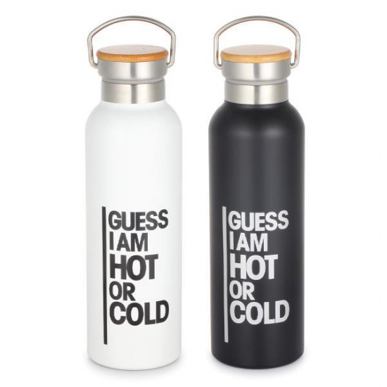 Θερμός Guess με διπλά τοιχώματα 500ml σε 2 χρώματα 5202707012354
