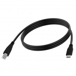 Καλώδιο Ancus USB-C σε USB-B Μαύρο 2m 32364