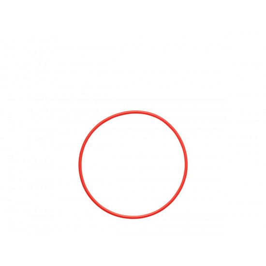 Olympus POL-058 O-ring for PT-058 / PT-059