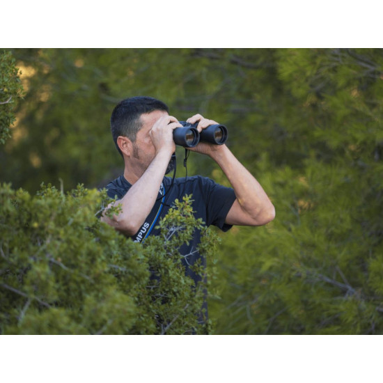 Olympus Binoculars 8-16x40 S incl. Case & Strap