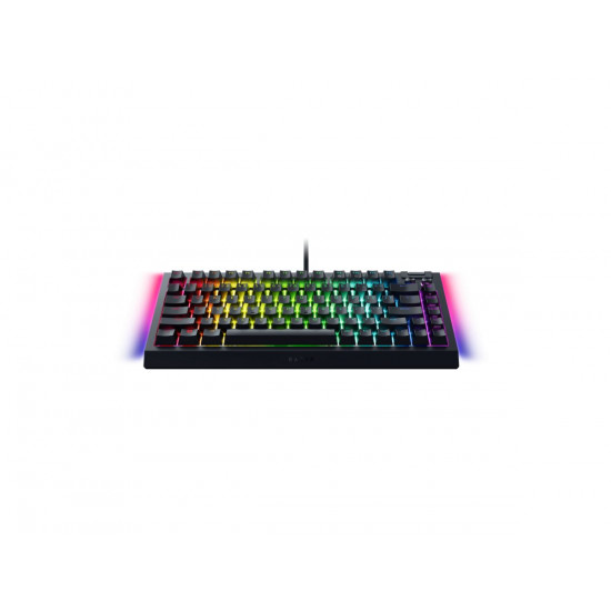 Razer BLACKWIDOW V4 75% - Mechanical RGB Gaming Keyboard - Hot-Swappable - Orange Tactile Switches