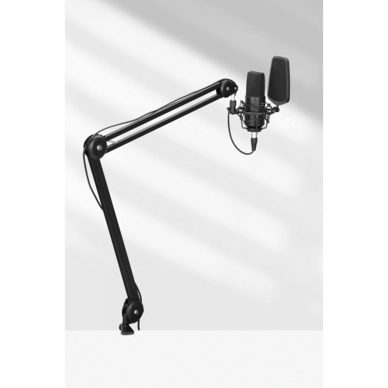 BOYA BY-BA20 microphone Arm mic stand