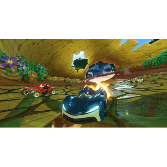 TEAM SONIC RACING Switch
