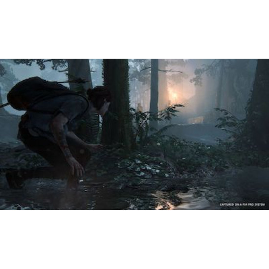 The Last of Us Part II PS4 Game
