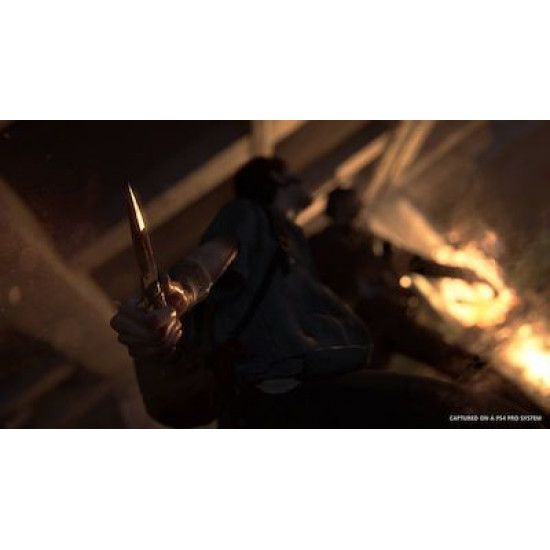 The Last of Us Part II PS4 Game
