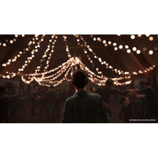 The Last of Us Part II PS4 Game