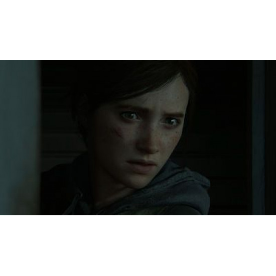 The Last of Us Part II PS4 Game