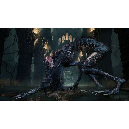 Bloodborne Hits Edition PS4 Game
